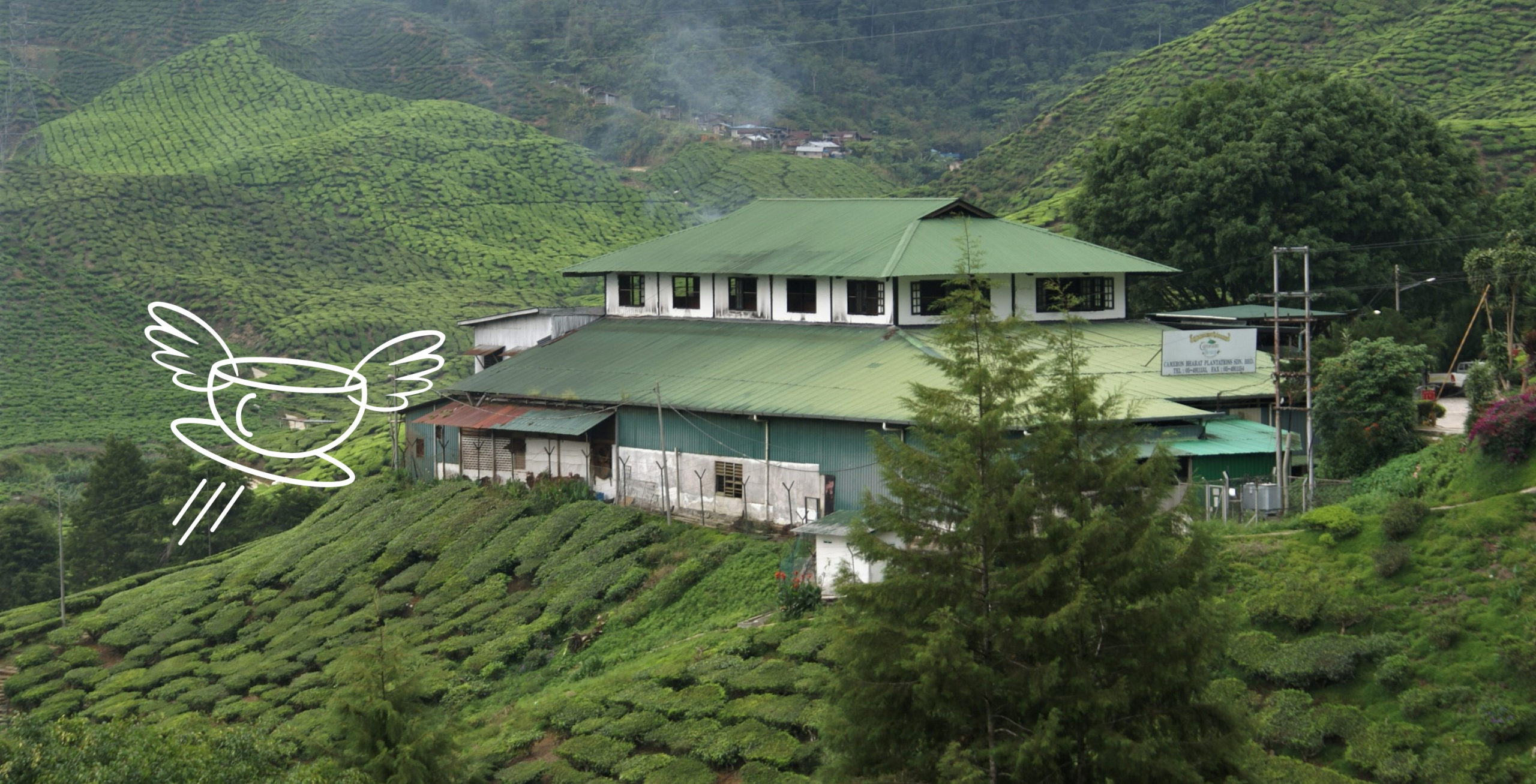 Fabrique de thé en Malaisie